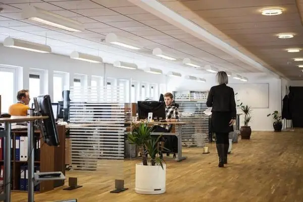 Large, open concept office with wood floors, potted plants and work stations along a windowed wall.