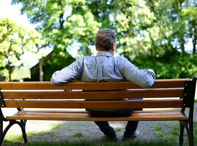 A middle-aged man sitting with his back toward us on a park bench.