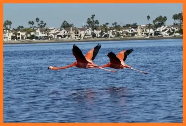 photographer cleared of photo manipulation allegations