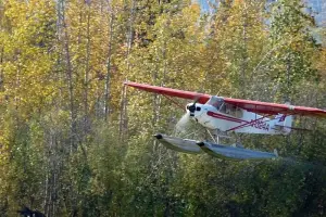 bush plane picture