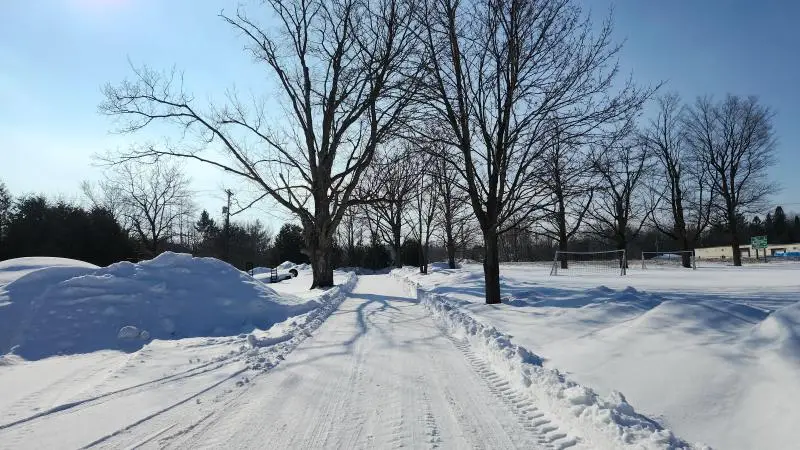 Cybersalt News - February 22, 2026